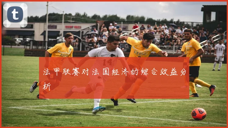 法甲联赛对法国经济的综合效益分析