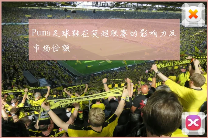 Puma足球鞋在英超联赛的影响力及市场份额